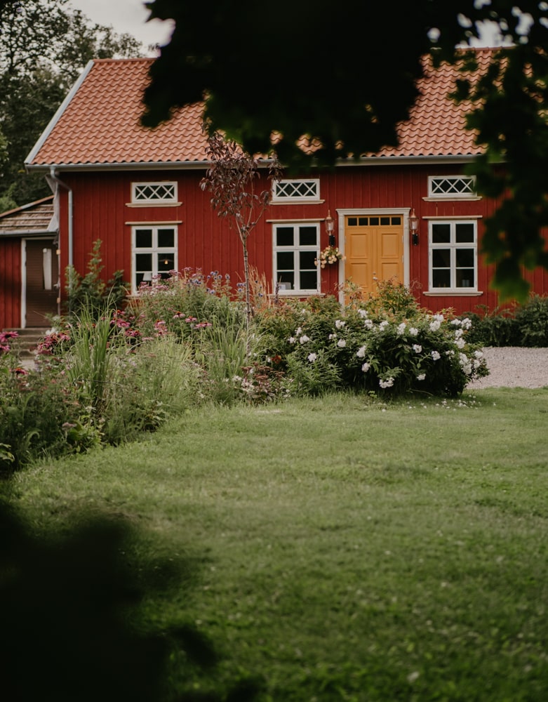 section-image